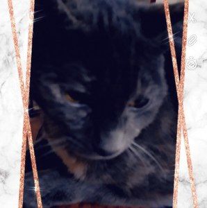 Meet your Posher, Ol